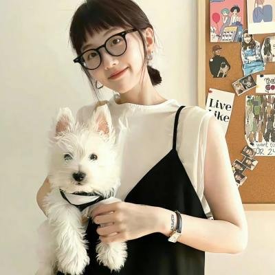 我的西游